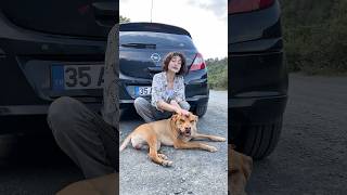 Renk Değiştiren Köpek Komik Shorts Videosu