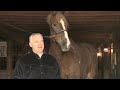 World's Tallest Horse - Meet The Record Breakers - Guinness World Records