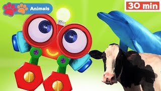 Toddlers Learn Animals With Robi Educational Early Learning Videos Animals Names & Sounds