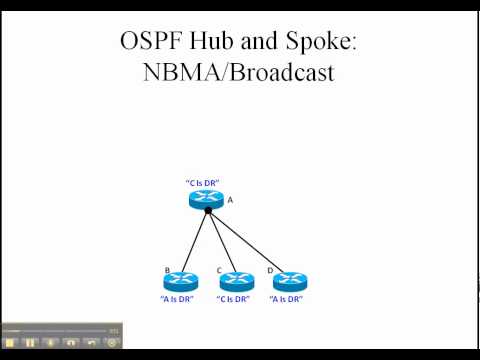 ospf-example.cpp