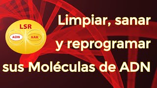 Meditación y trabajo interior para limpiar, sanar y reprogramar sus Moléculas de ADN – LSR ADN