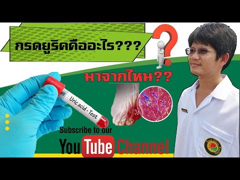 กรดยูริกคืออะไร ?