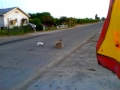 Sexo en la calle