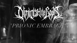 Watch Diminish The Gods Prionic Embrace video