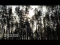 Beautiful Piano Music inspired by Scandinavian Nature - HD - Autumn Park