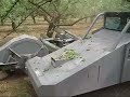 Almond Harvest