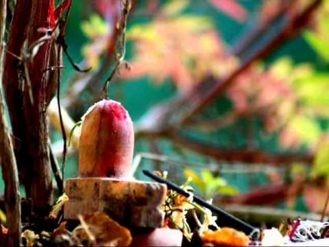 Jai Shiv Shankar Jai Gangadhar Pandit Rajan Sajan Mishra Bhajan...