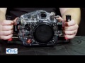 Video Ikelite Nikon D800 Underwater Housing Review for the Nikon d800 Camera