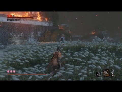 Sekiro Isshin Sword Saint No Damage