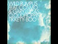 Wild Rumpus Feat. Cosmo & Gary Lucas - Cloudhopping