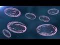 Plasmid DNA Technology