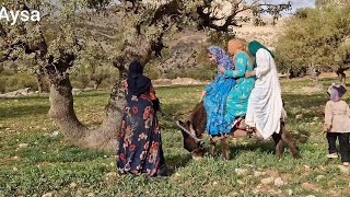 Adventure In The Heart Of The Mountains Donkey Riding With Three Iranian Nomadic Girls