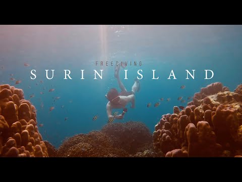 ดำน้ำ Freediving หมู่เกาะสุรินทร์ Underwater World Surin Island