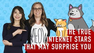 View in 2: The True Internet Stars That May Surprise You | YouTube Advertisers
