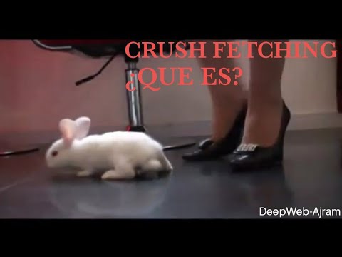 Crush fetish mpeg