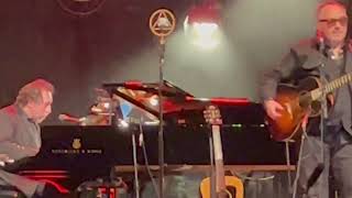 Watch Elvis Costello Harpies Bizarre video