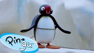 Traveling with Pingu 🐧 | Pingu - Official Channel | Cartoons For Kids