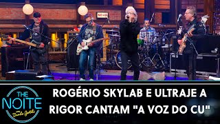 Watch Rogerio Skylab A Voz Do Cu video