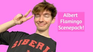 Albert Flamingo Scenepack
