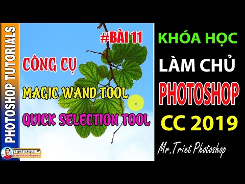 Bài 11: Công Cụ Magic Wand Tool và Quick Selection Tool 🔴 Làm Chủ Photoshop CC 2019