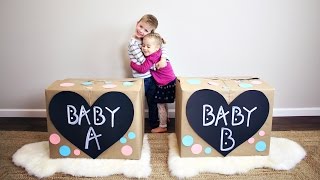 Twins Gender Reveal!! Twins Gender Reveal!!