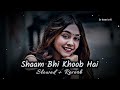 Shaam Bhi Khoob Hai ( slowed Reverd ) Udit Narayan, Kumar Sanu, Alka Yagnik || #Lofi SR #lofi song