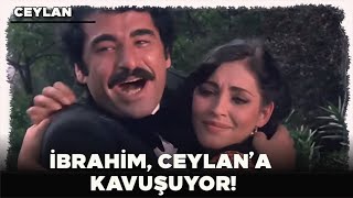 Ceylan  Türk Filmi | İbrahim, Ceylan'a Kavuşuyor!
