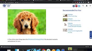 Emojifoto - Machine Learning Emoji Art Creator