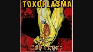 Watch Toxoplasma Platz An Der Sonne video