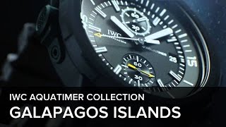 IWC Aquatimer Chronograph Edition "Galapagos Islands"