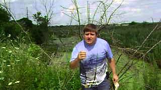 Watch Blood Down To The Swamp video