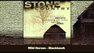 Watch Blackhawk Wild Horses video
