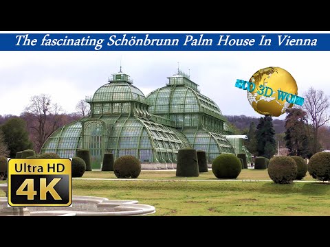 The fascinating Schönbrunn Palm House In Vienna - 4K 50p