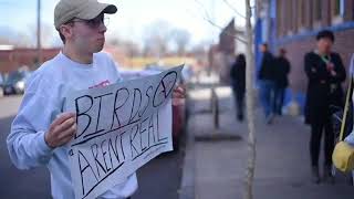 Birds Aren 39 T Real Birds Aren 39 T Real