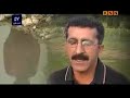 Xoshtrin Gorani Kurdi 2013 Kurdish Music