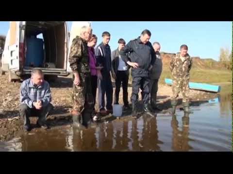 ловля стерляди на малька на вятке ловля стерляди получи и распишись малька нате вятке