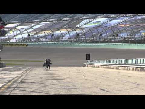 DARPA Robotics Challenge at Homestead-Miami Speedway