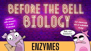 Enzymes Before The Bell Biology