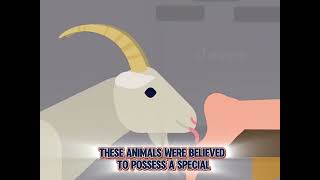 Terrifying Punishment In Ancient Times Goat Licking Feet Of The Victim?
