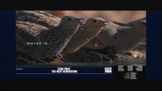 Starship Troopers 1997 End Credits Bbc America 2023