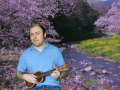 Vincent (Starry Starry Night) - Solo Ukulele Instrumental - Matthew James Richards - Don McLean