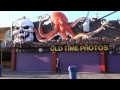 Wildwood