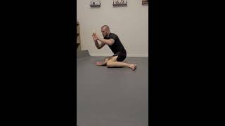 Jiujitsu Workout #2 with Professor Marcus!