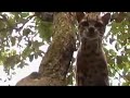 Hanging out with MarGay (Wildboyz in Brazil)