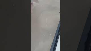 Geliboluda Sağanak Yağmur Yaşamı Felç Etti