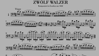 Domenico Dragonetti - 12 Waltzes For Double B Solo