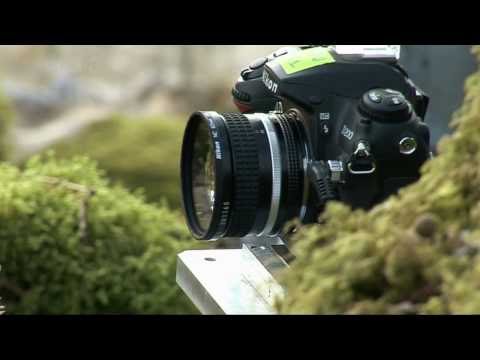 BBC Life - Plants (On Location) in HD