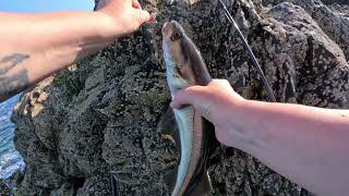 Isle Of Whithorn Fishing Part 2
