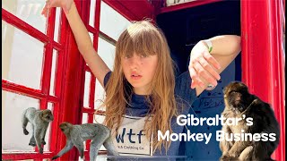 Gibraltars Monkey Business?