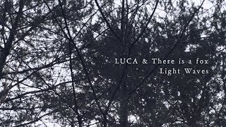 LUCA & There is a fox "Light Waves" Music Video